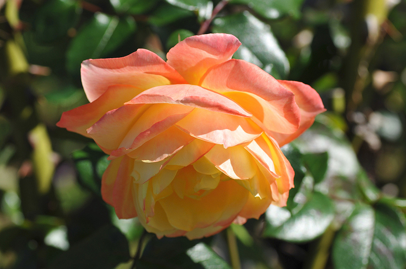 image0148