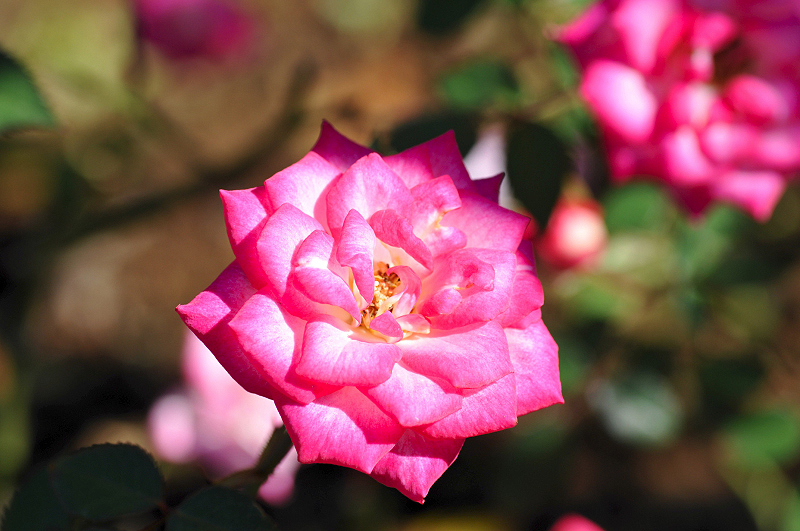 image0149