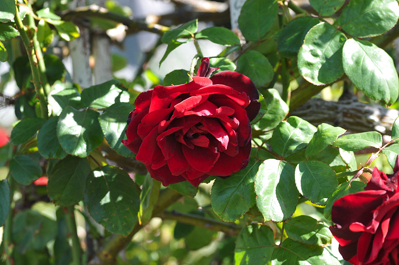 image0153