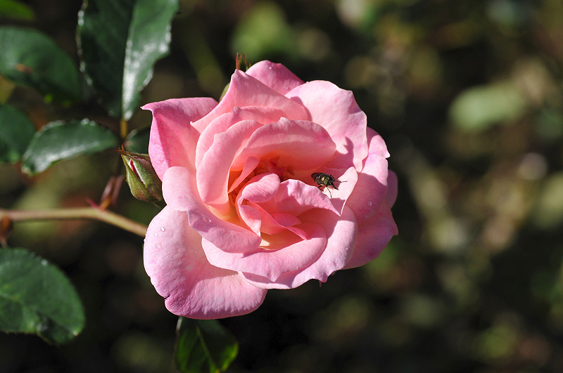 image0155