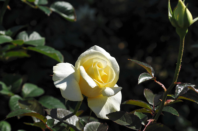 image0157