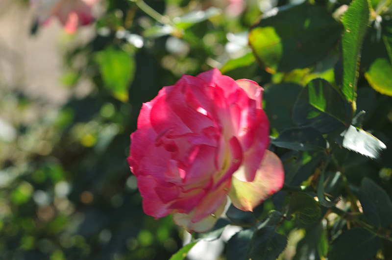 image0158
