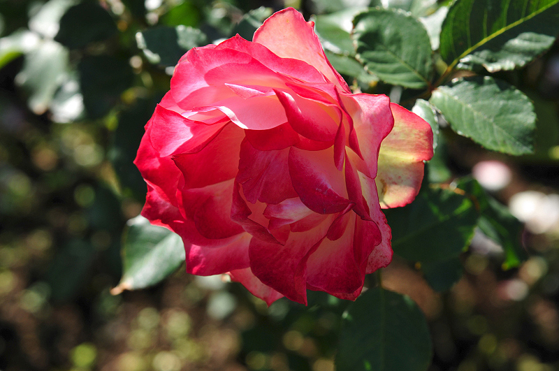 image0159