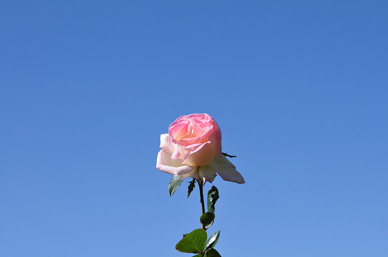 image0160