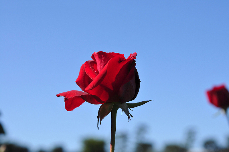 image0166