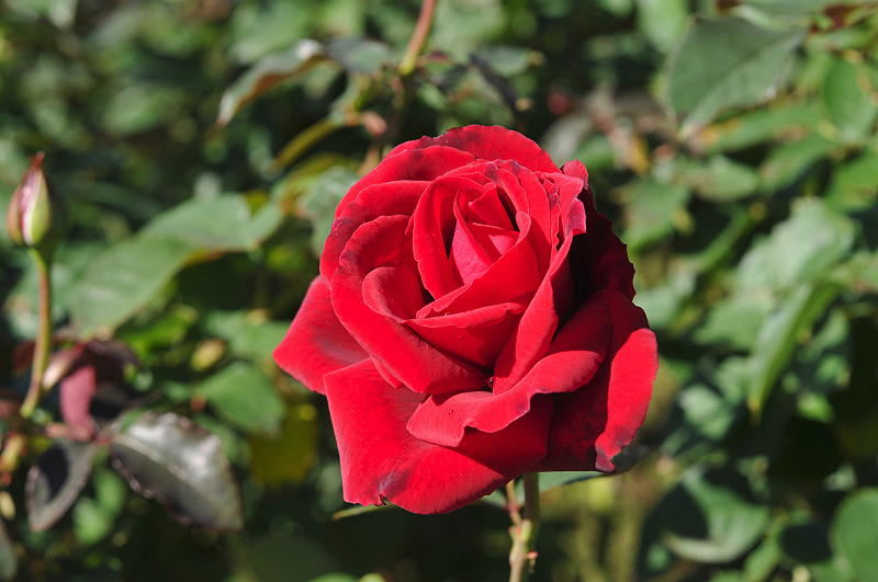 image0169