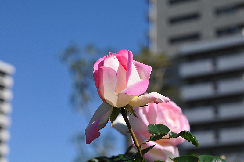 image0171