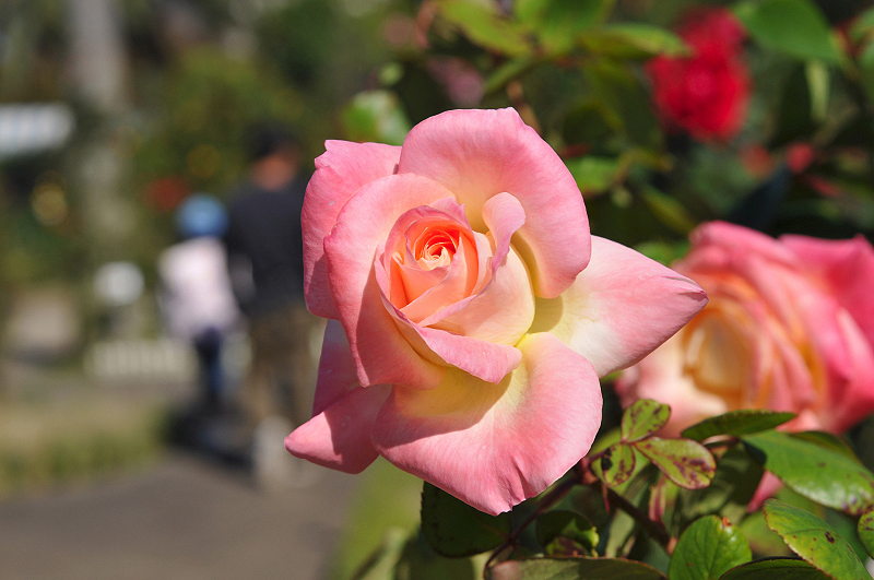 image0172