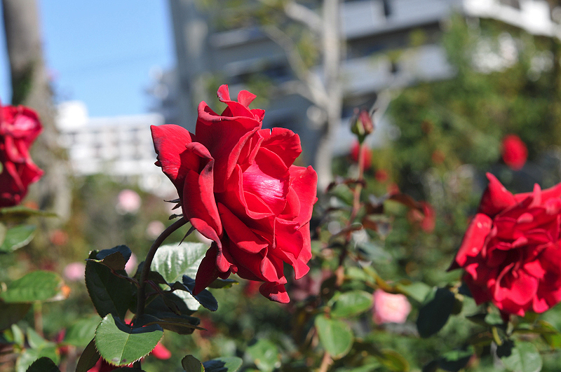 image0173