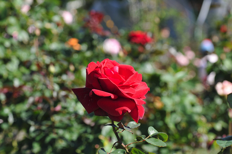 image0174