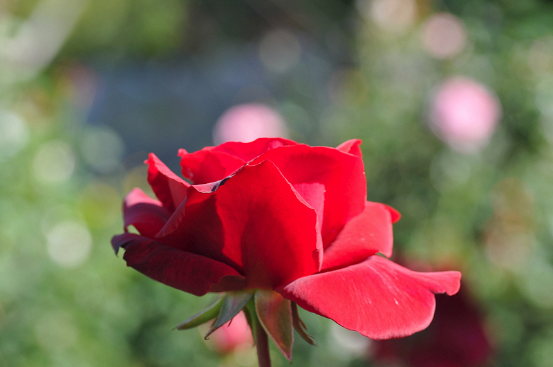 image0175
