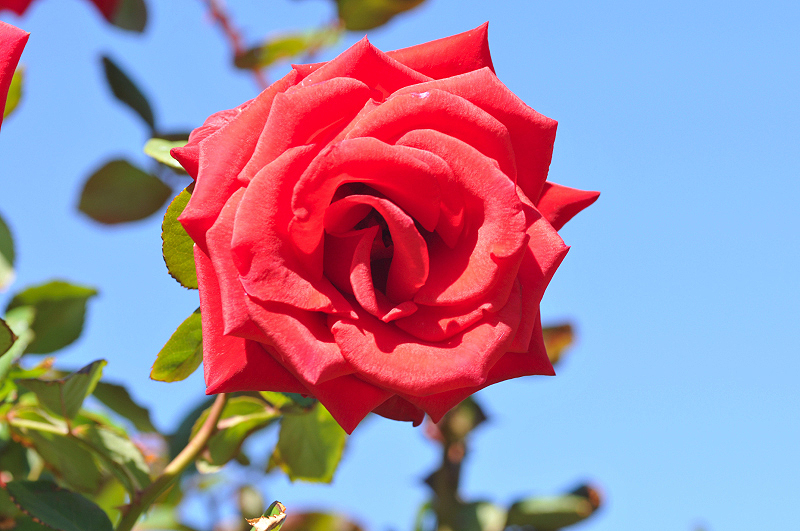 image0176