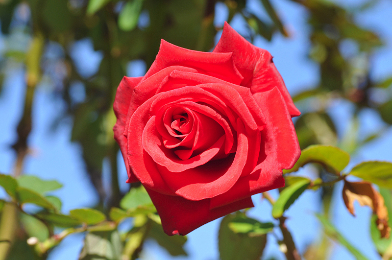 image0177