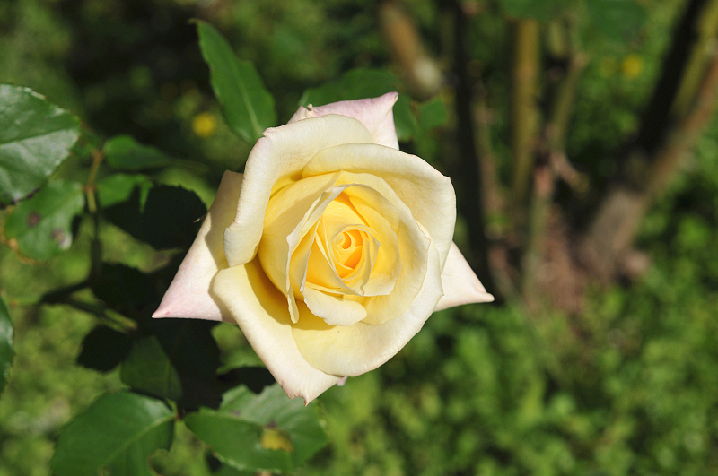 image0178