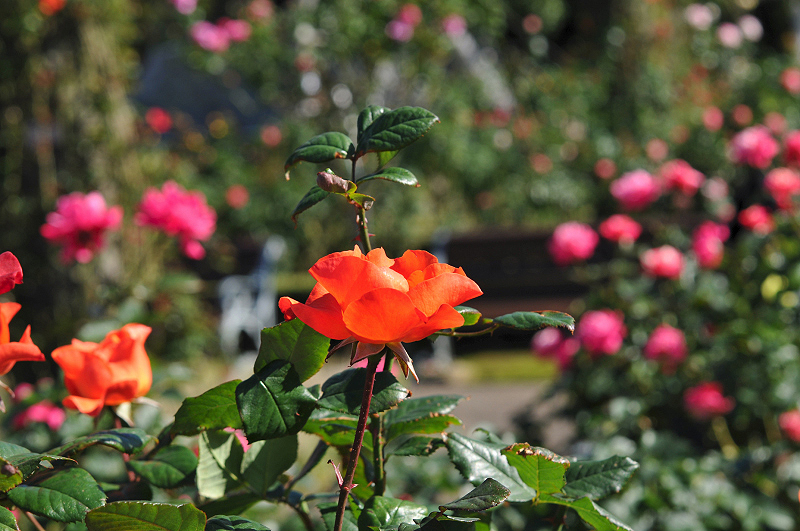 image0180