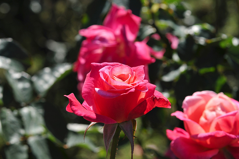 image0183
