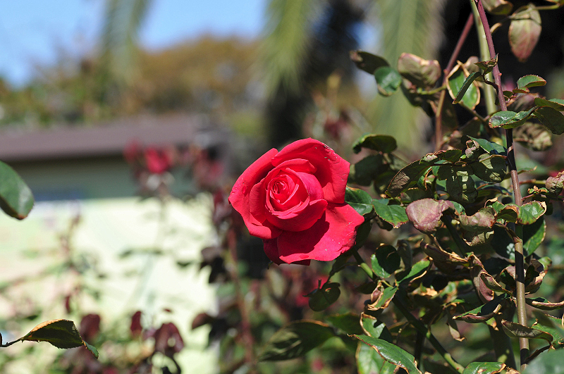 image0189