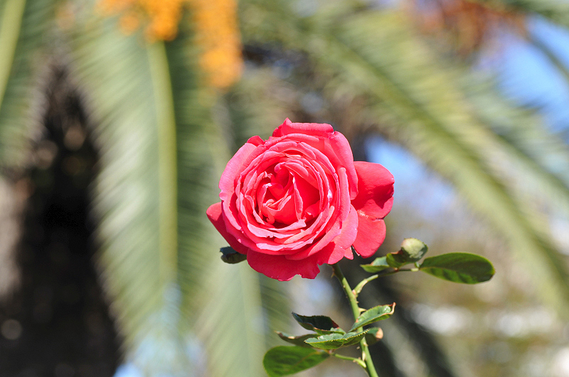 image0190