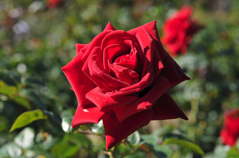image0195