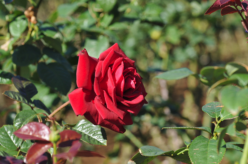 image0197