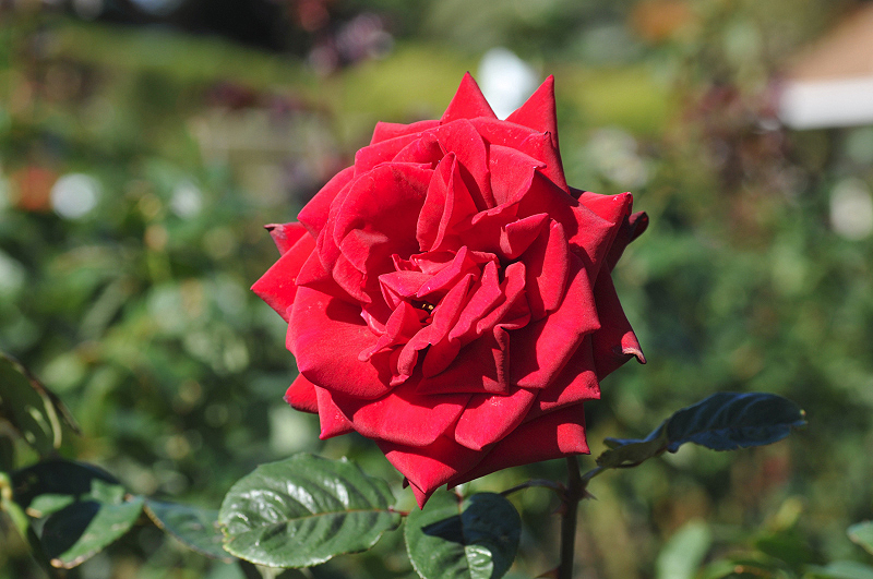 image0198