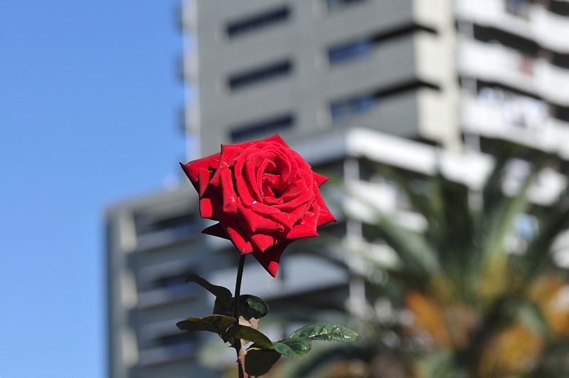 image0199
