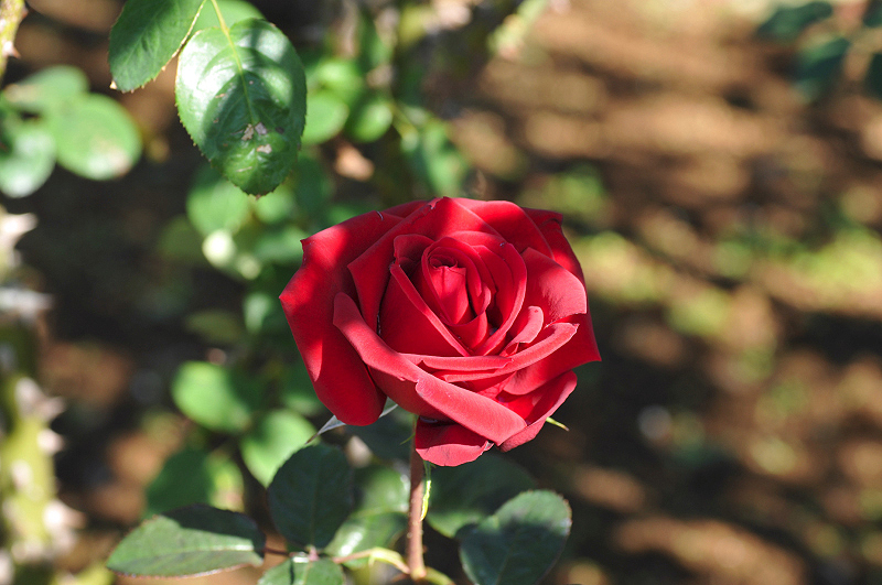 image0200
