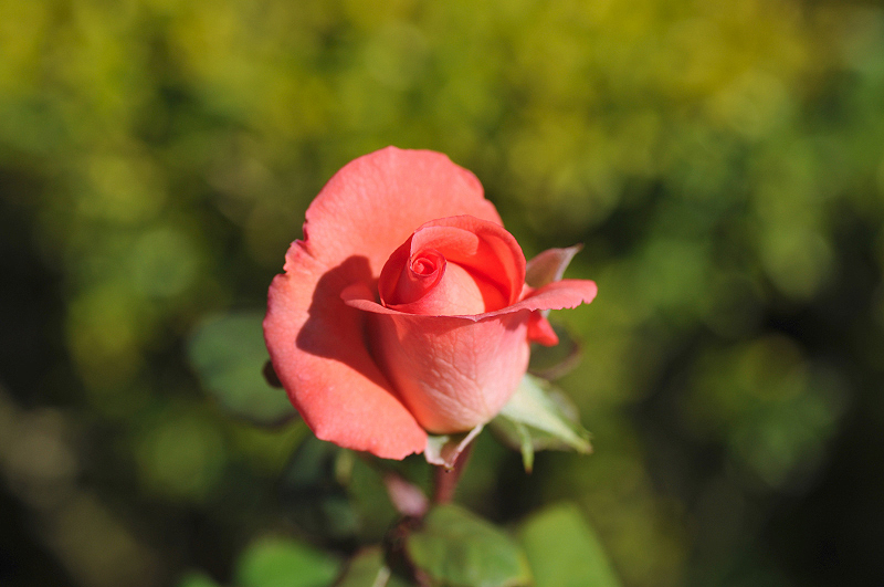 image0201