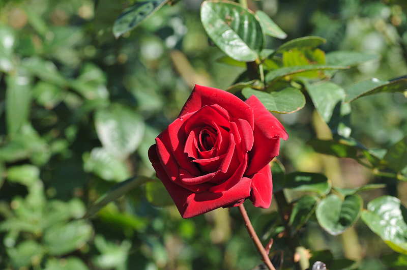 image0202