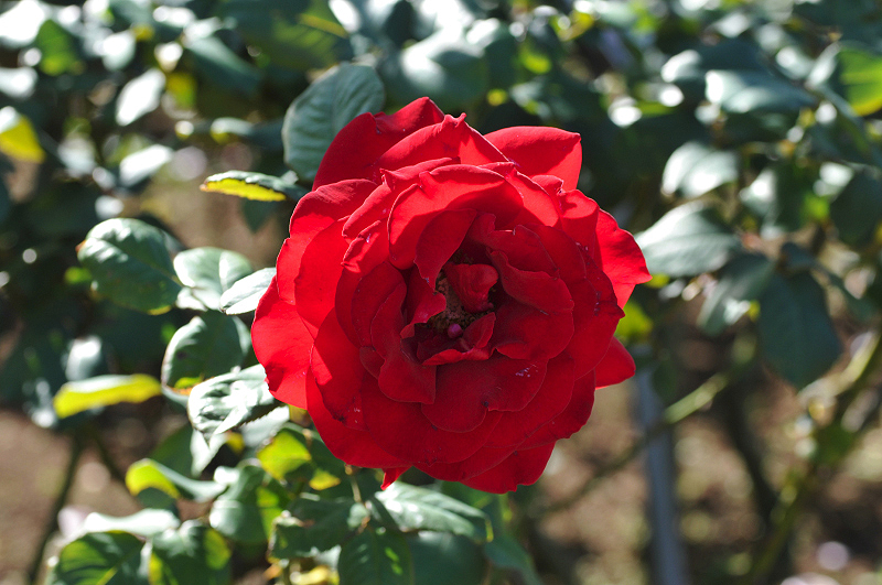 image0203