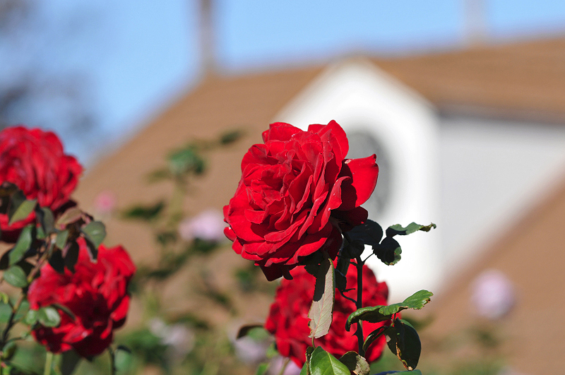 image0208