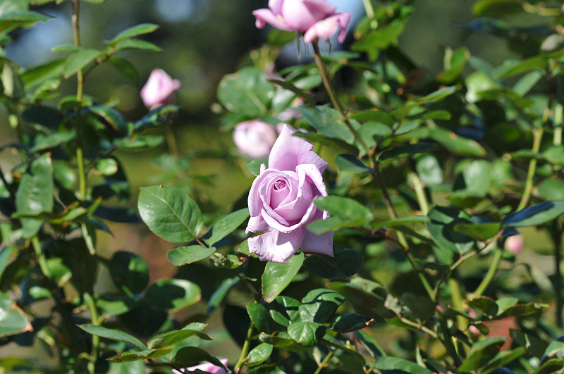 image0211