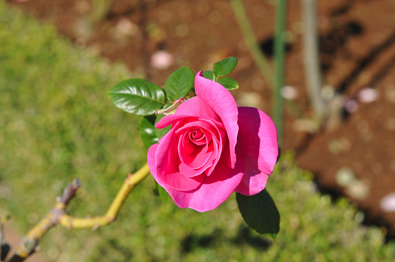 image0213