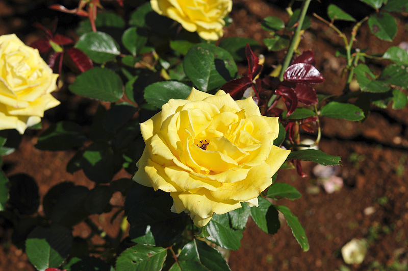 image0217