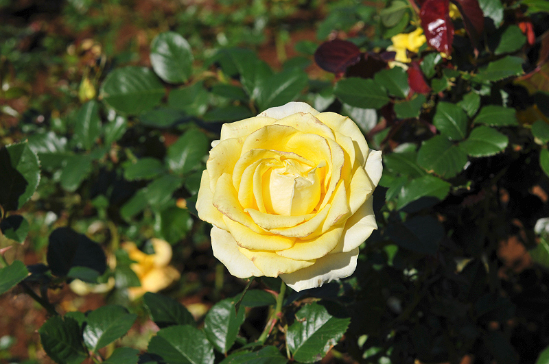 image0218