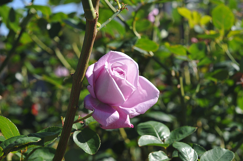 image0222