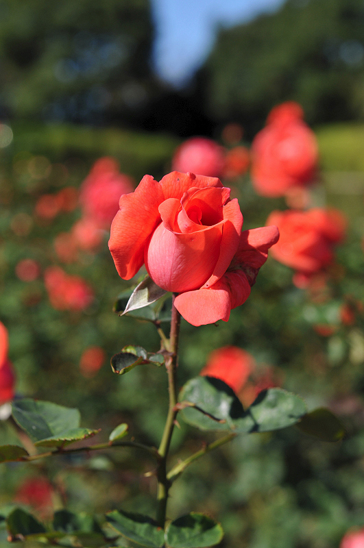 image0224