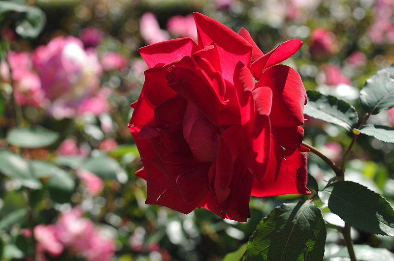 image0233