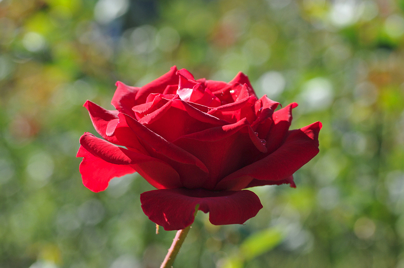 image0241