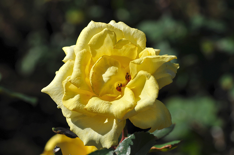 image0242