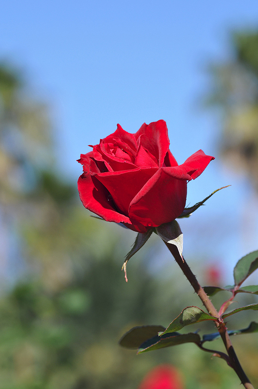 image0254