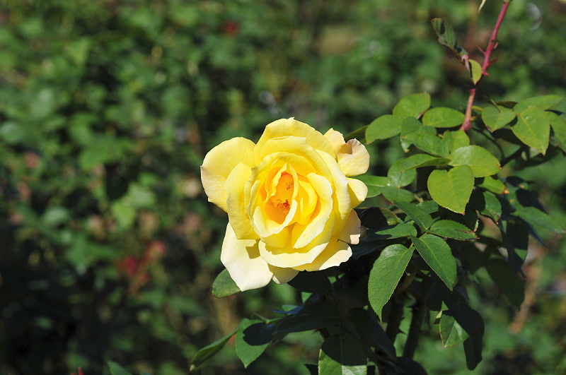 image0270