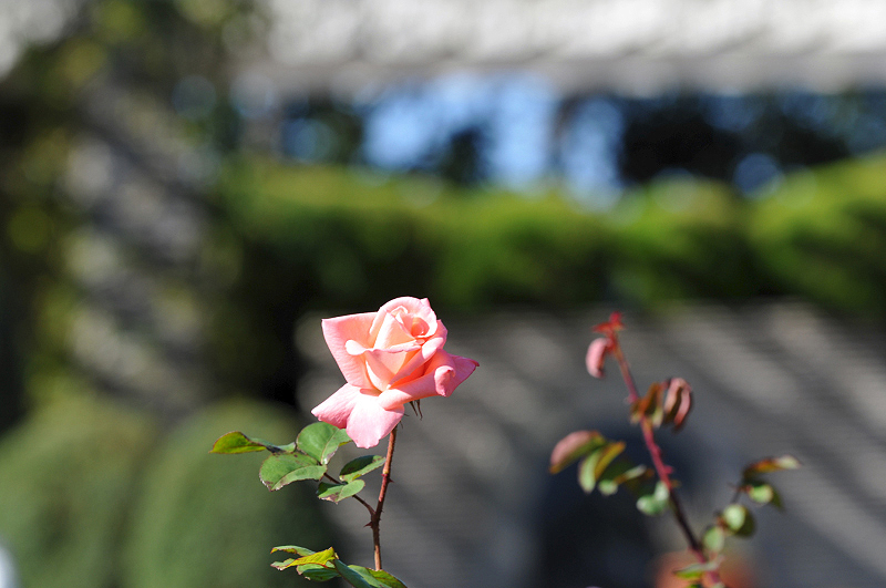 image0273