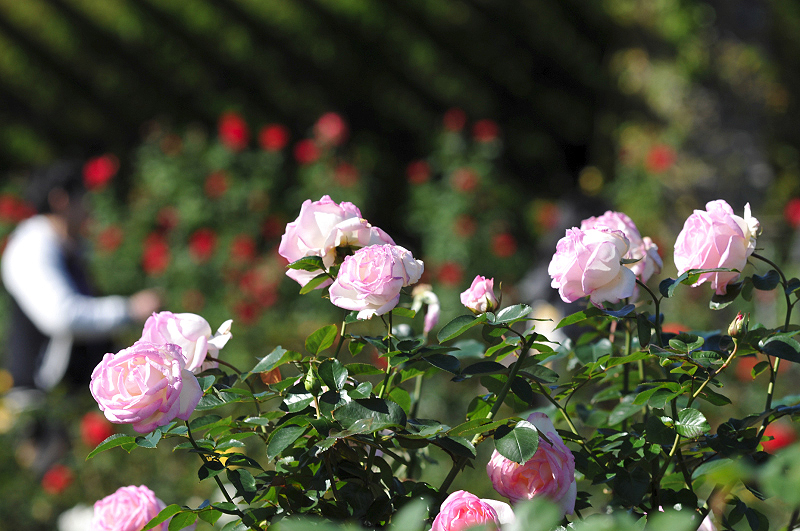 image0275