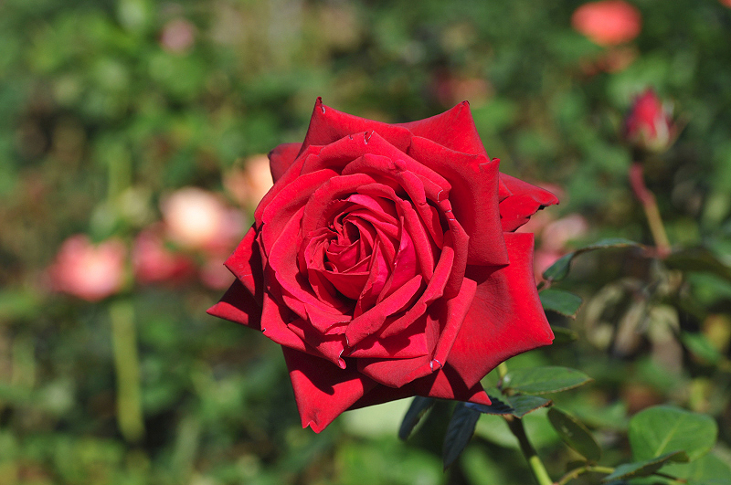 image0280
