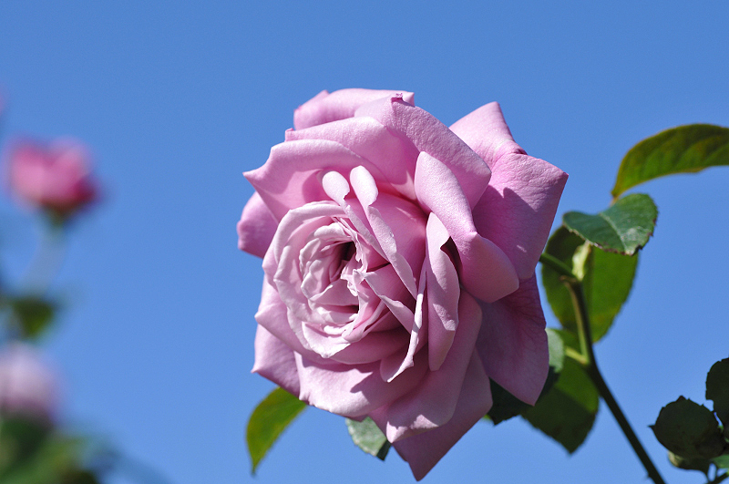 image0289