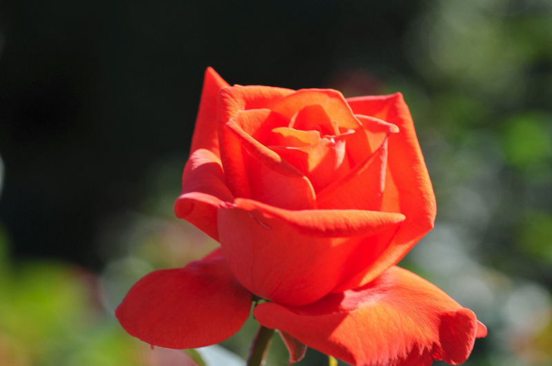 image0292