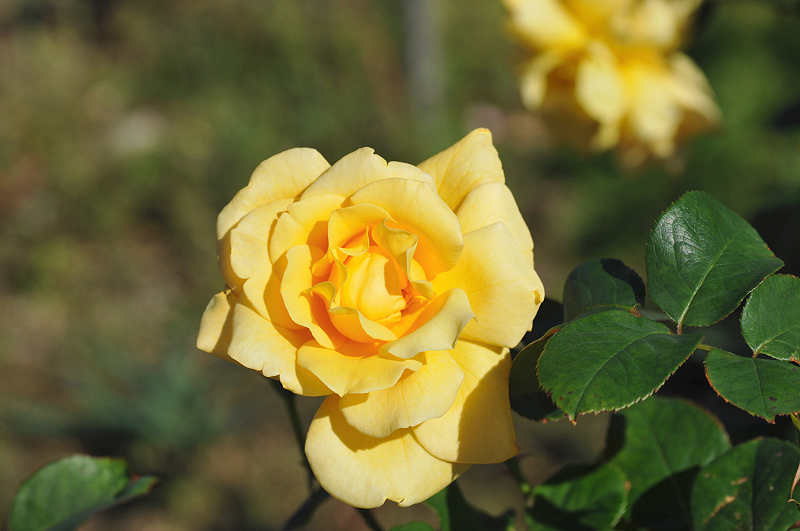 image0293