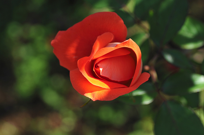 image0297