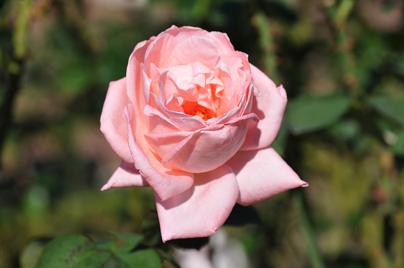image0304
